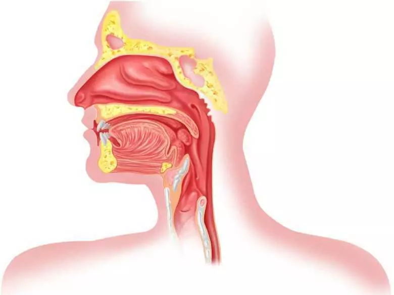 Zaburzenia połykania czyli problem dysfagii